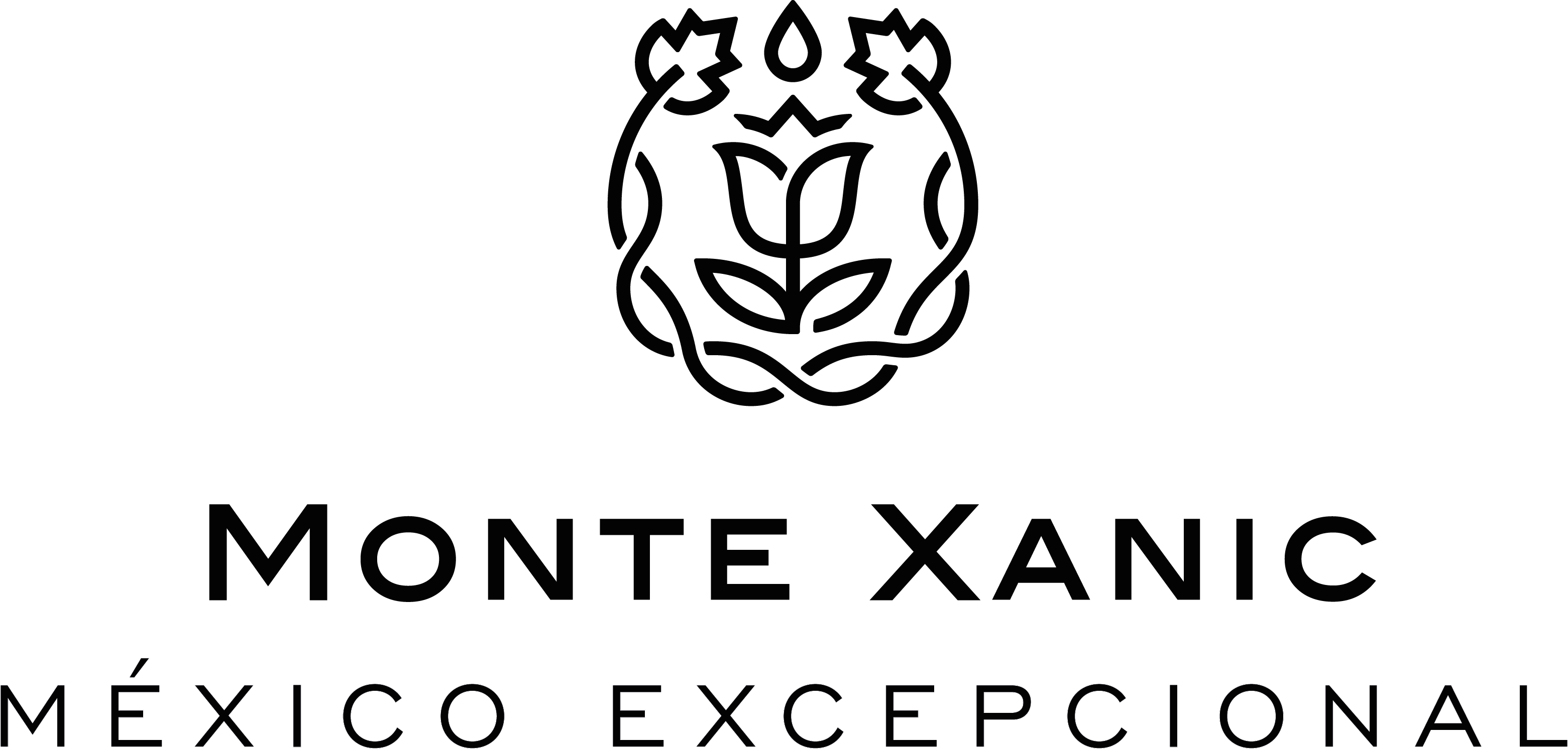 logo-monte-xanic